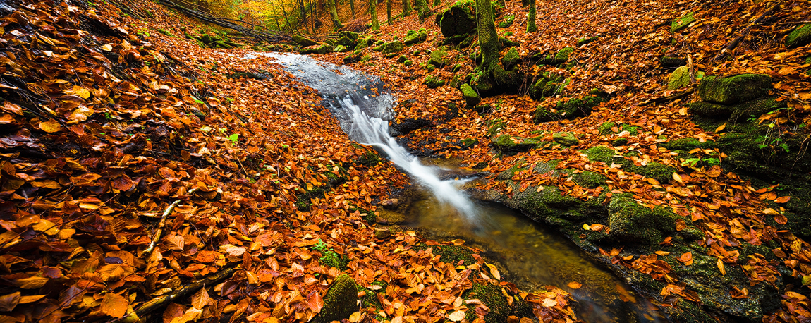 Podzimní Panský potok